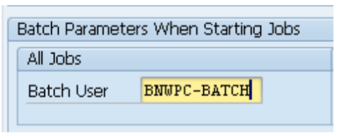 Enter the name of the batch user.